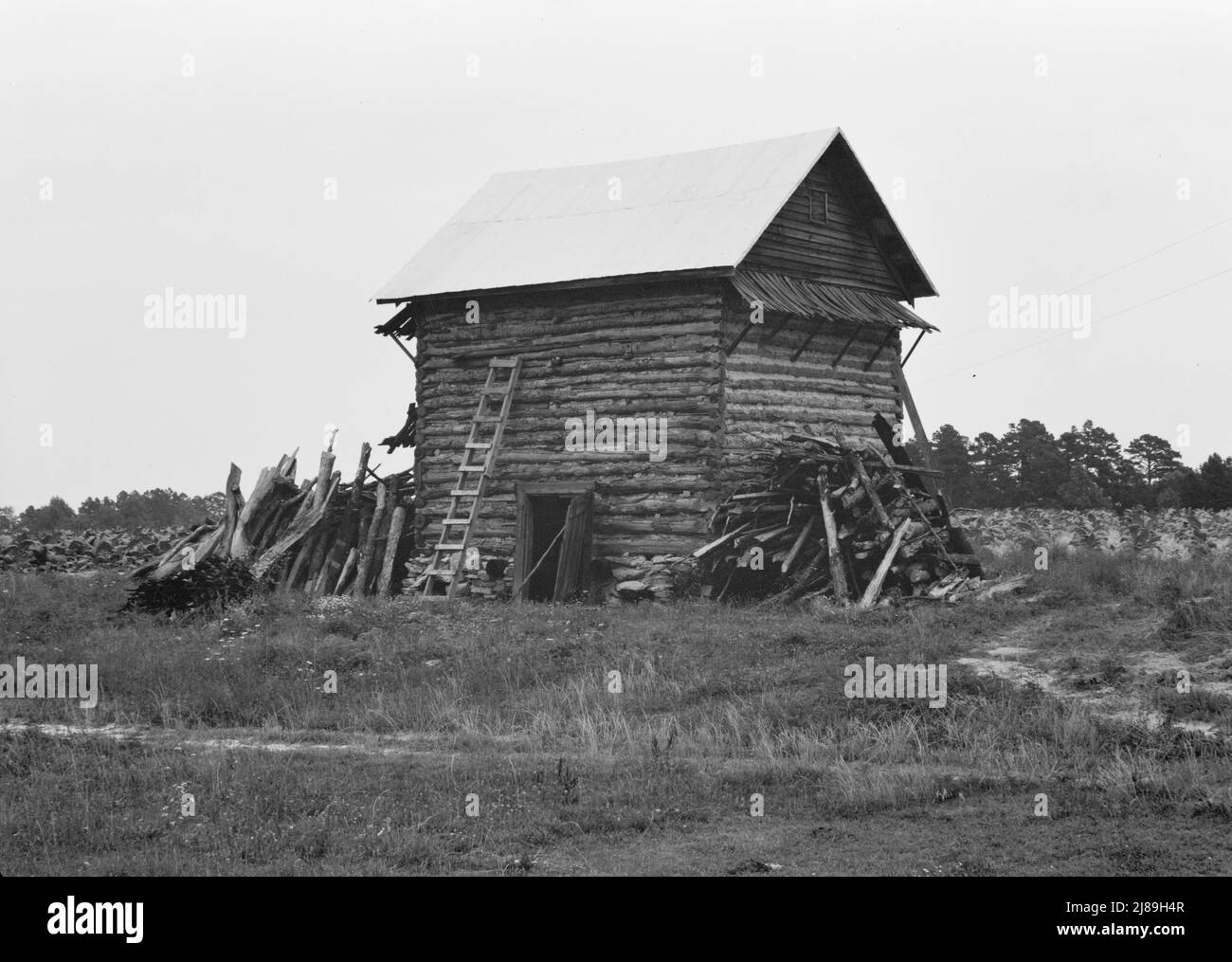 Tabakscheune ohne vorderen Unterstand. Der Fußweg über das Feld führt zum Haupthaus. Person County, North Carolina. Stockfoto