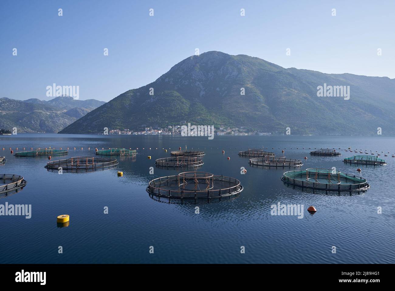 Seascape mit Fischfarmen gegen Berg in Montenegro Stockfoto