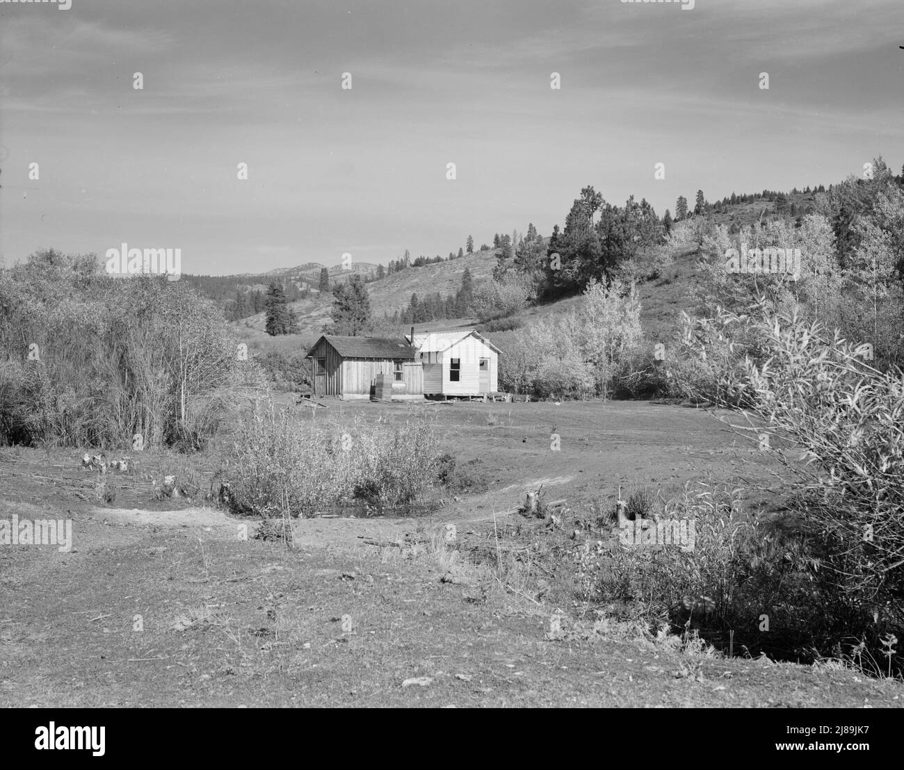 Heimat von Claude Kanady, Präsident des Selbsthilfe-Sägewerks Ola Co-op Der erste Teil dieses Hauses wurde vor einem Jahr gebaut. Jetzt fügt er Holz aus dem Sägewerk hinzu. Gem County, Idaho. Stockfoto