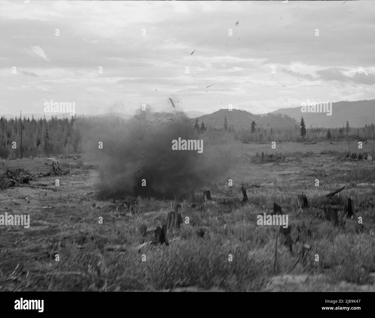 Tomarack Stumpf wird gestrahlt. Bonner County, Idaho. Stockfoto