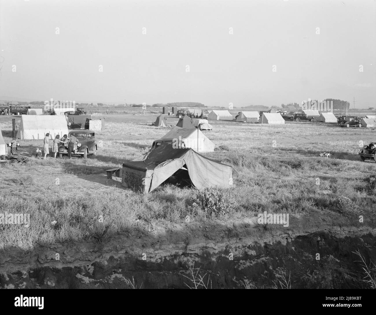 Familien kampierten vor Saisonbeginn auf einer Wohnung und warteten auf die Eröffnung der mobilen Einheit der Farm Security Administration (FSA). Keine Hygiene, kein Wasser. In Der Nähe Von Merrill, Klamath County, Oregon. Stockfoto