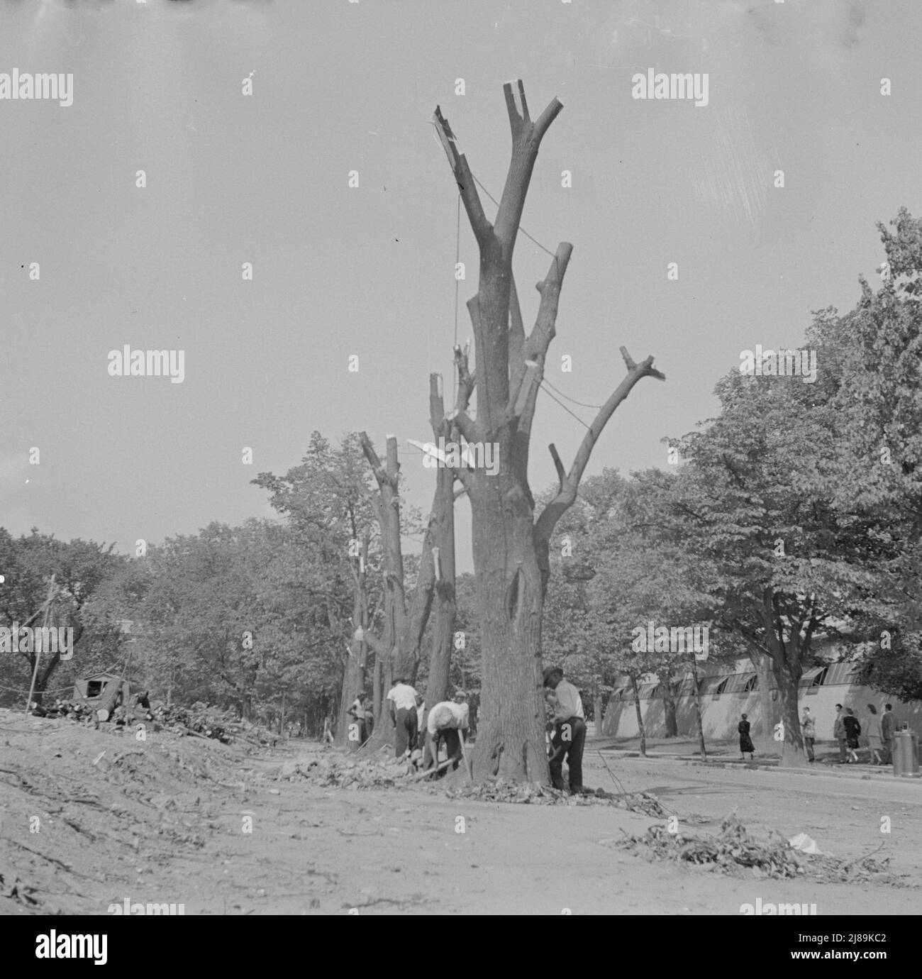 Washington, D.C., bereitet den Boden für den Bau von Notgebäuden auf der Independence Avenue vor. Stockfoto