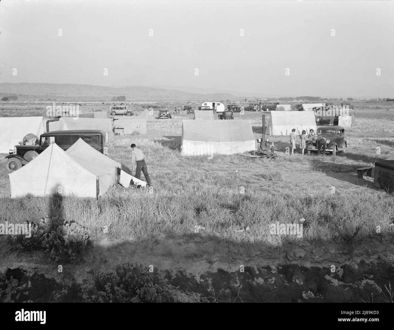 Familien kampierten vor Saisonbeginn auf einer Wohnung und warteten auf die Eröffnung der mobilen Einheit der Farm Security Administration (FSA). Keine Hygiene, kein Wasser. In Der Nähe Von Merrill, Klamath County, Oregon. Stockfoto