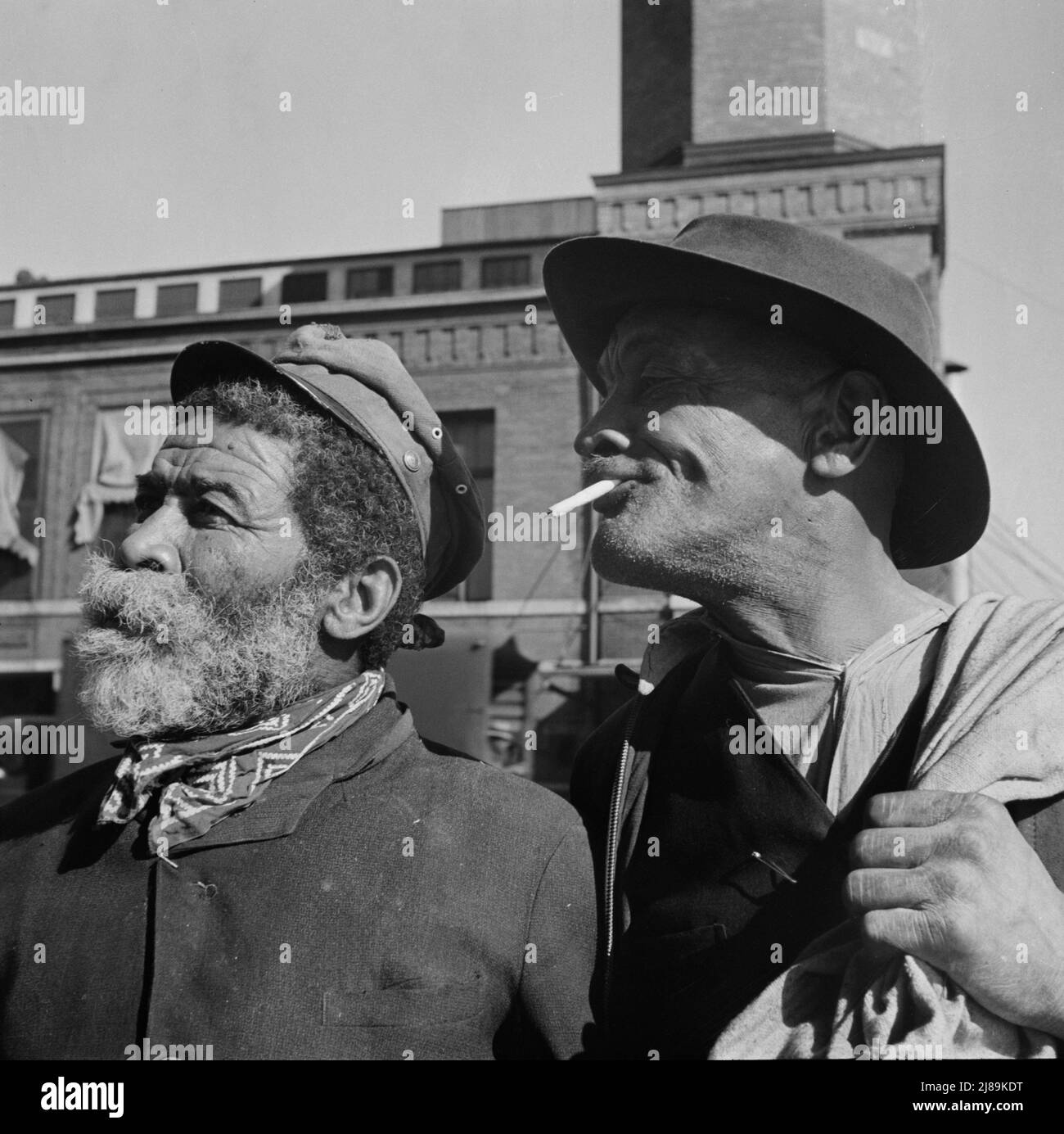 Washington, D.C., „Whiskers“ und Johnny Carrol, zwei bekannte Gesichter am Wasser. Stockfoto