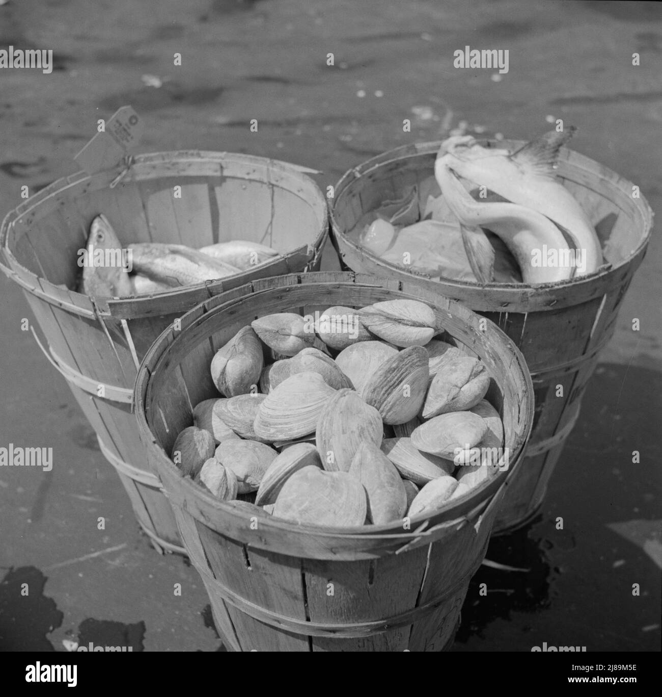 New York, New York. Körbe mit Meeresfrüchten auf dem Fulton Fischmarkt. Stockfoto