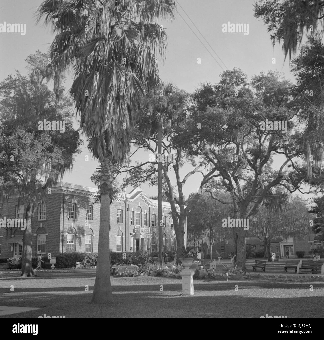 Daytonas Beach, Florida. Bethune-Cookman College. Stockfoto