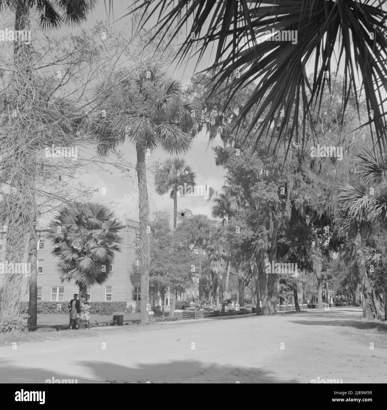 Daytonas Beach, Florida. Eine Straße, die durch den Campus des Bethune-Cookman College verläuft. Stockfoto