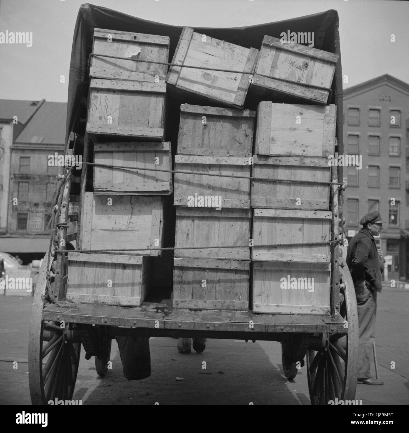New York, New York. Versand von Fischen im Pferdefahrzeug vom Fulton Fischmarkt. Stockfoto