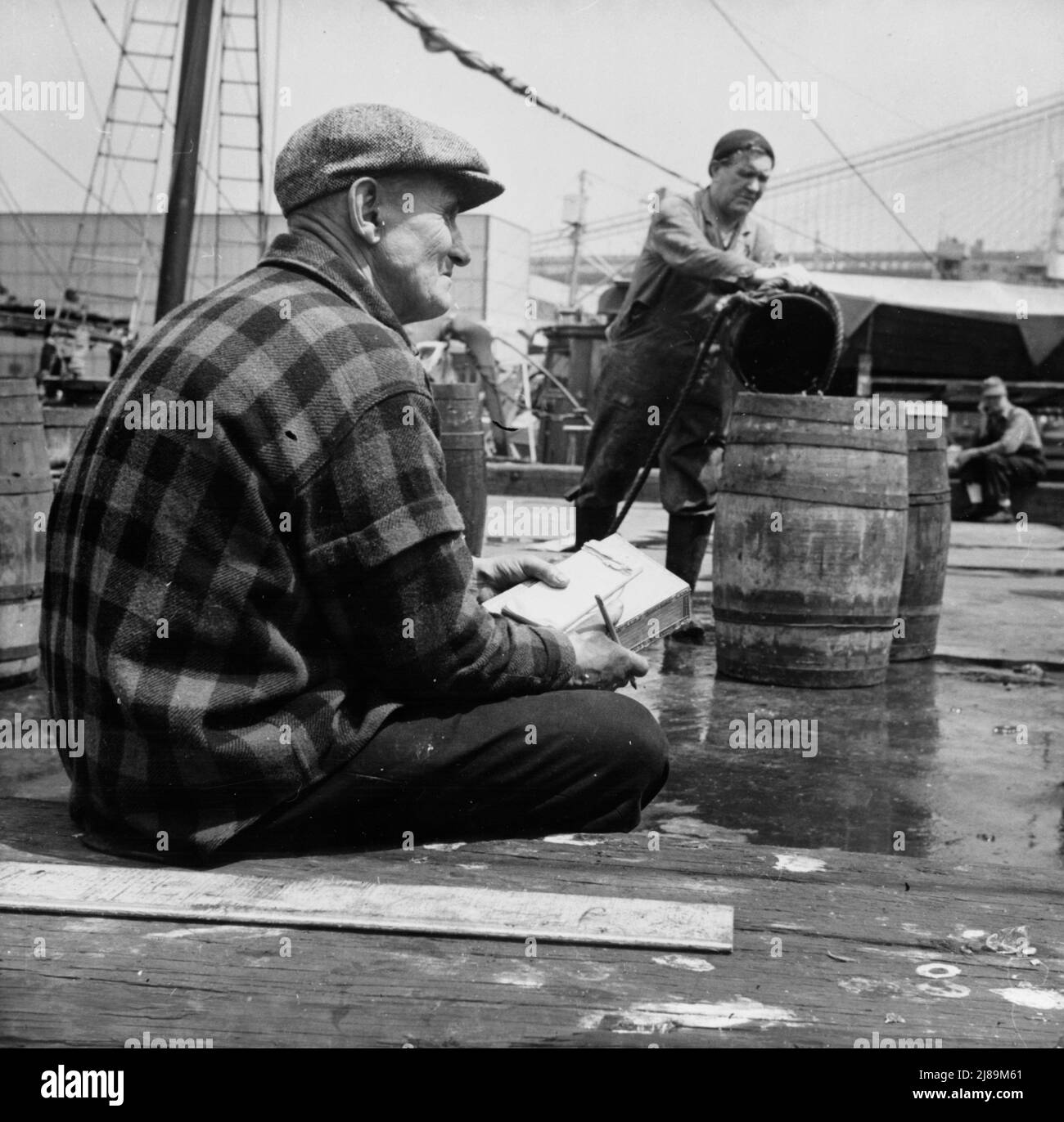 New York, New York. New England Fischer überprüft Körbe von Fischen, wie sie von seinem Schiff gehoben werden. Stockfoto