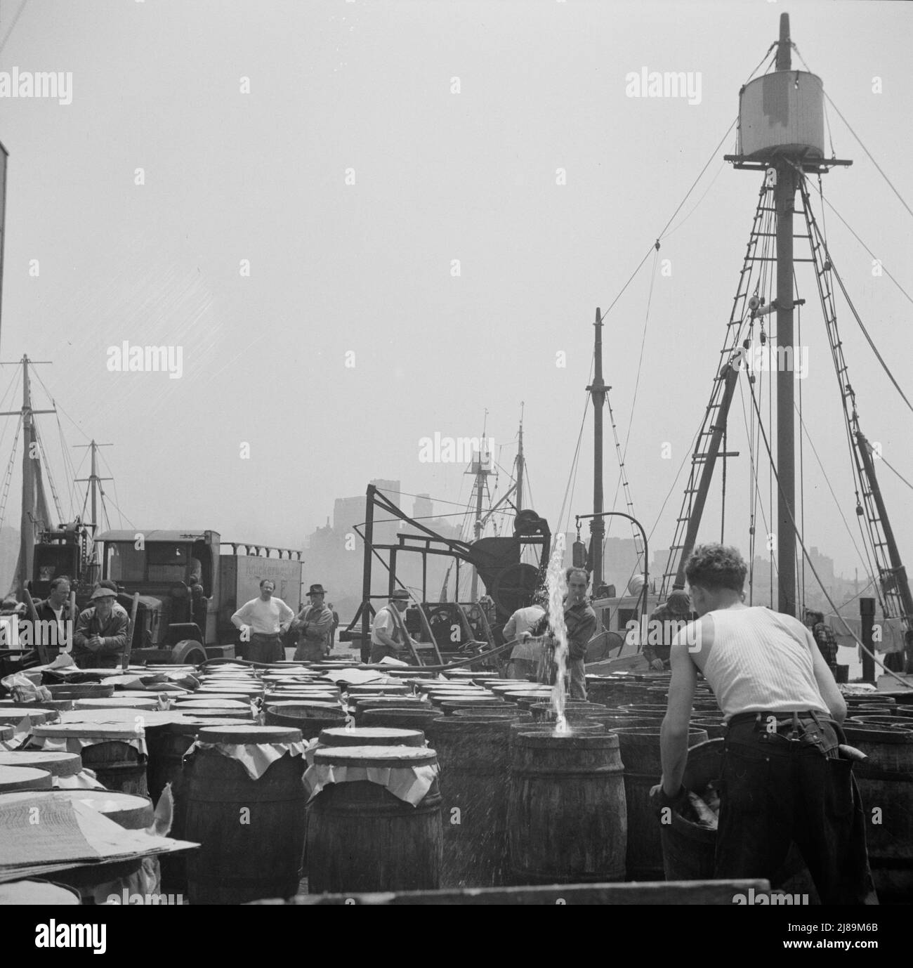 [Foto ohne Titel, möglicherweise in Zusammenhang mit: New York, New York. Fische auf dem Fulton Fischmarkt mit Salzwasser gießen]. Stockfoto