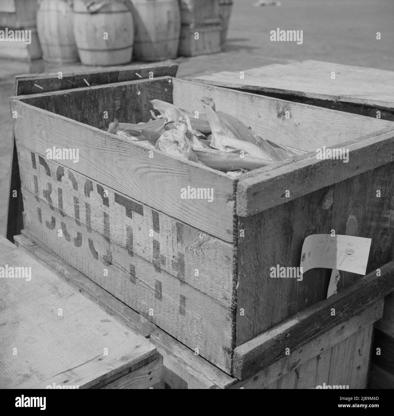 New York, New York. Eine Fischkiste auf dem Fulton Fischmarkt wartet darauf, vereist zu werden. Stockfoto