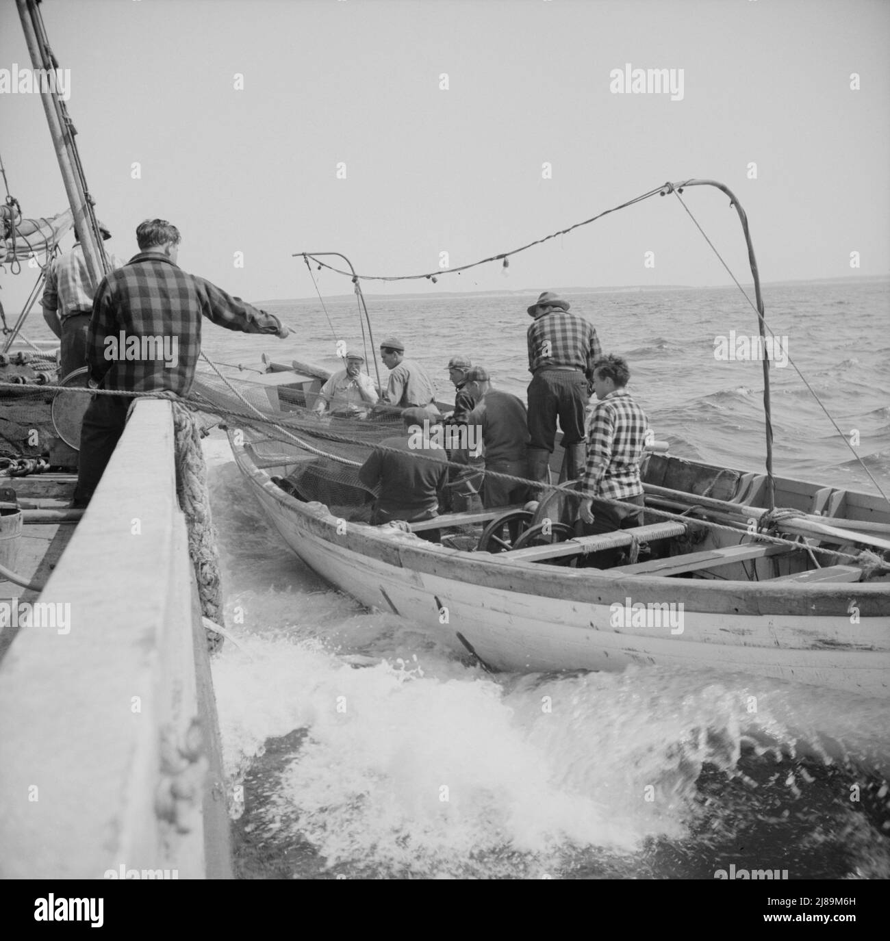 [Foto ohne Titel, möglicherweise verwandt mit: An Bord des Fischerbootes Alden, aus Gloucester, Massachusetts. Fischer ruhen sich nach einem 24-stündigen Training aus. Katholische Bilder sind über ihren Kojen]. Stockfoto