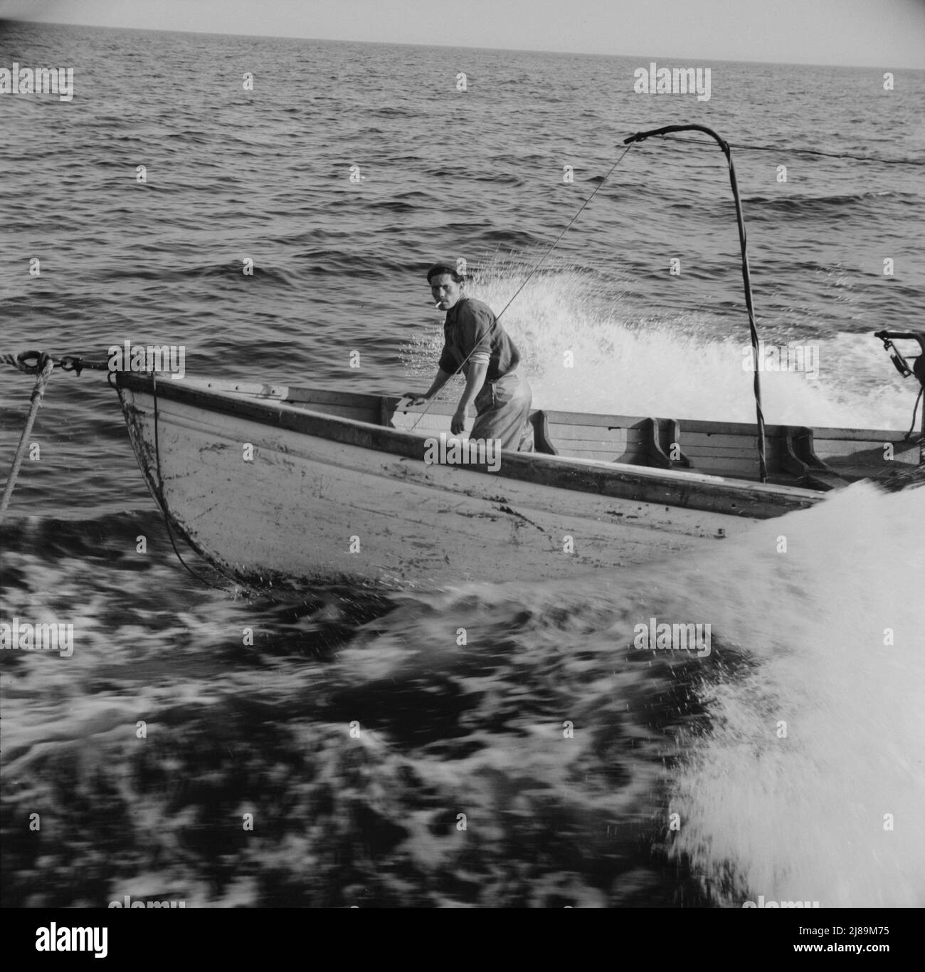 Giacomo Frusteri im Bug des Segelbootes, als es um eine Makrelenschule rast. Gloucester, Massachusetts. Stockfoto