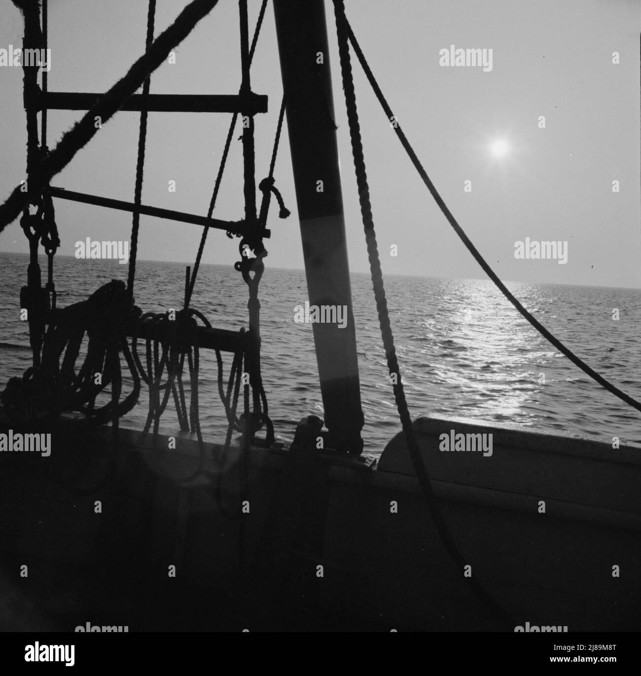 An Bord des Fischerbootes Alden, aus Gloucester, Massachusetts. Angelschoner, der vor der Küste von Neuengland einen Dory schleppt. Stockfoto