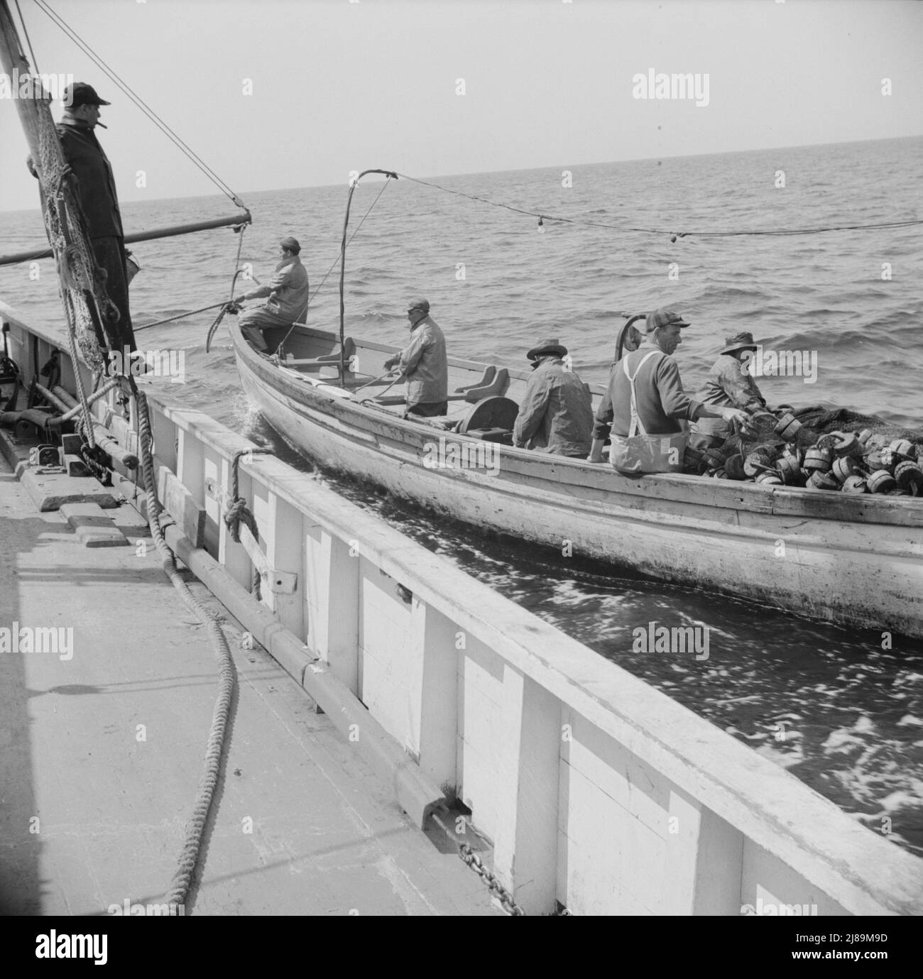An Bord des Fischerbootes Alden, aus Gloucester, Massachusetts. Ein Dory wird neben dem Mutterschiff gezogen. Stockfoto