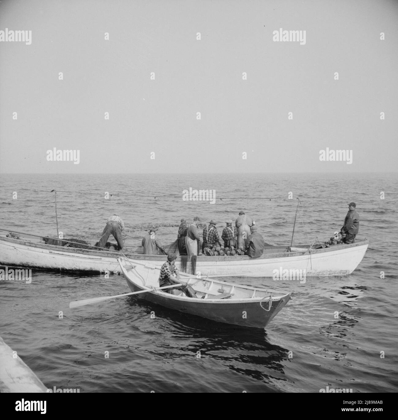 An Bord des Fischerbootes Alden, aus Gloucester, Massachusetts. Gloucester Fischer in ihren Tories auf See. Stockfoto