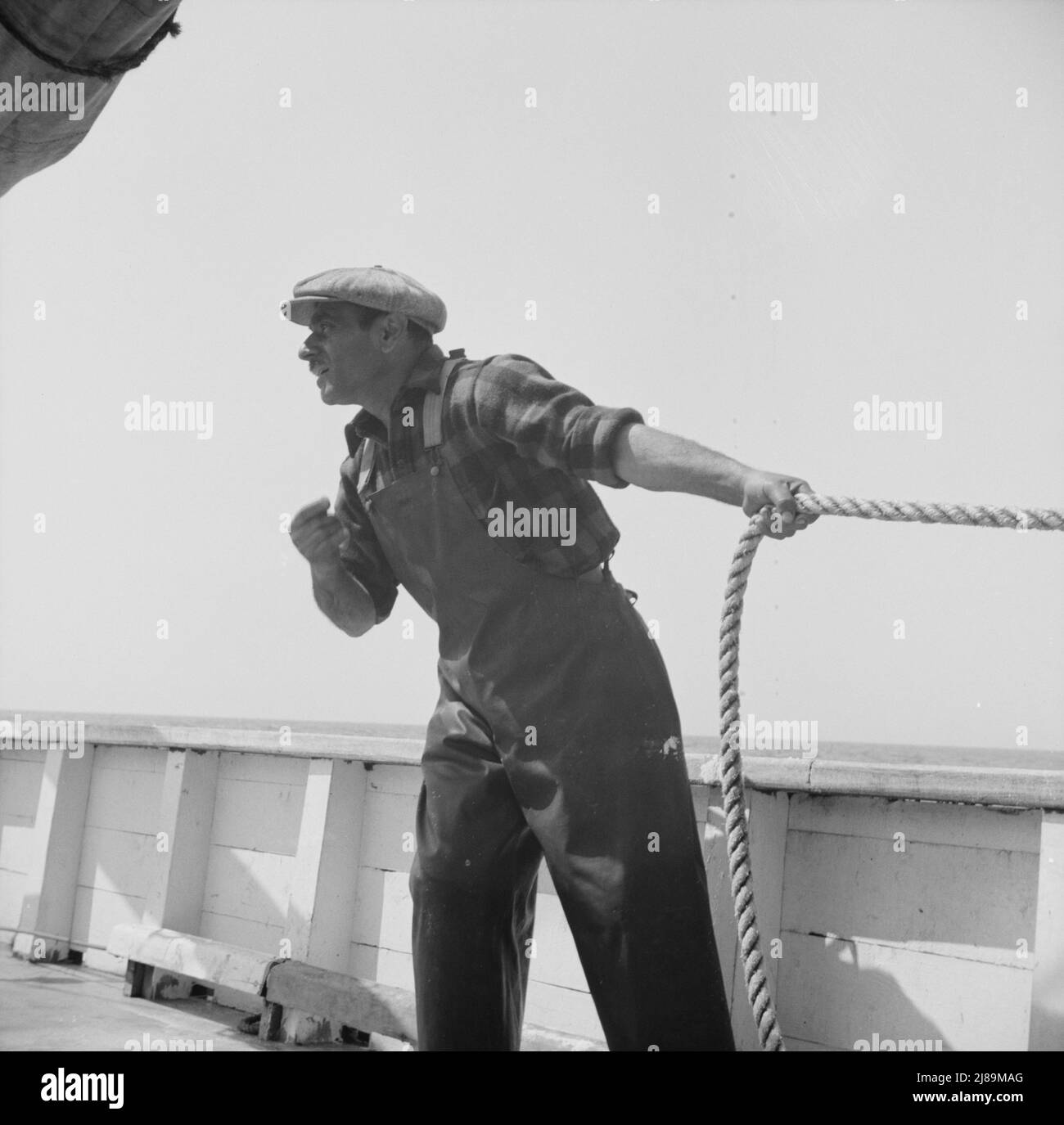 Vito Camella höhlt für die Hilfe, einen Dory zu verankern. Glocester, Massachusetts. Stockfoto