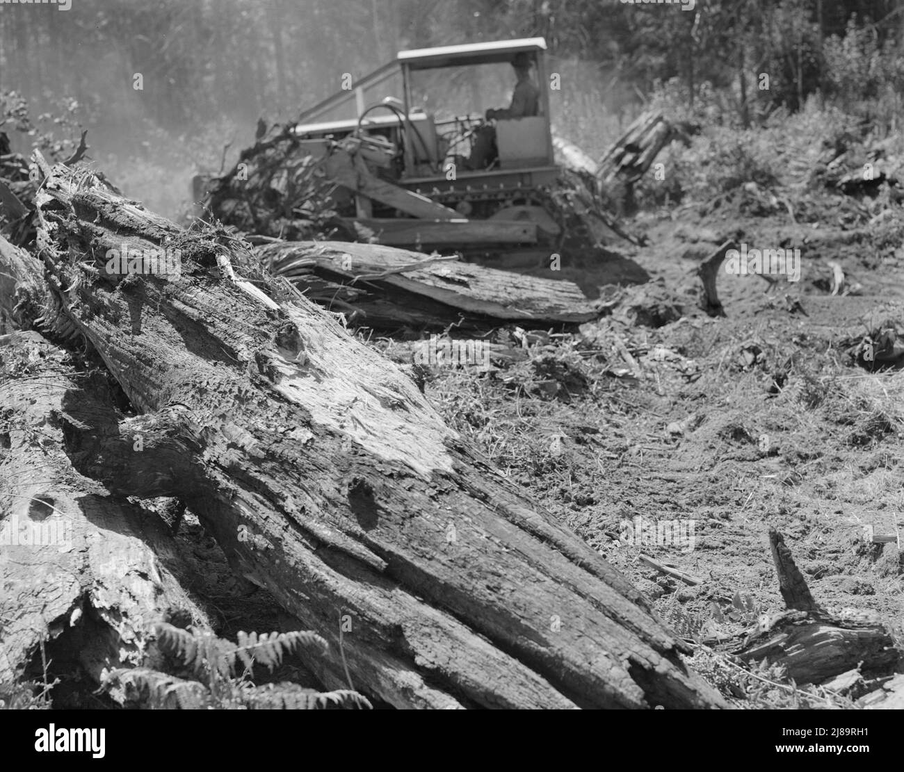 [Ohne Titel, möglicherweise verwandt mit: WESTERN Washington, Lewis County, in der Nähe von Vader. Bulldozer mit Grader-Klinge ausgestattet. Nieman Farm. Stockfoto