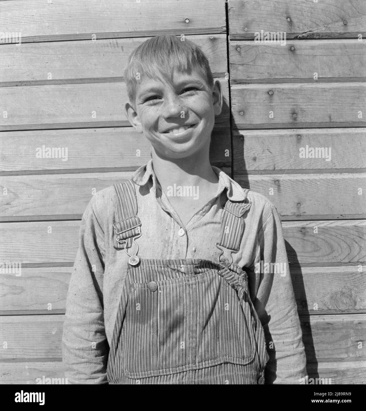 Einer der jüngeren Cleaver-Jungen auf einer neuen Farm in Malheur County, Oregon. Stockfoto
