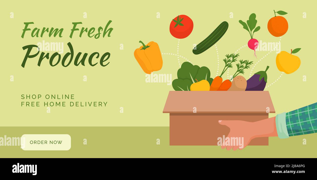 Lieferung von frischen Produkten auf dem Bauernhof zu Hause: Bauer hält eine Schachtel voller frischem, köstlichem Gemüse und Obst Stock Vektor