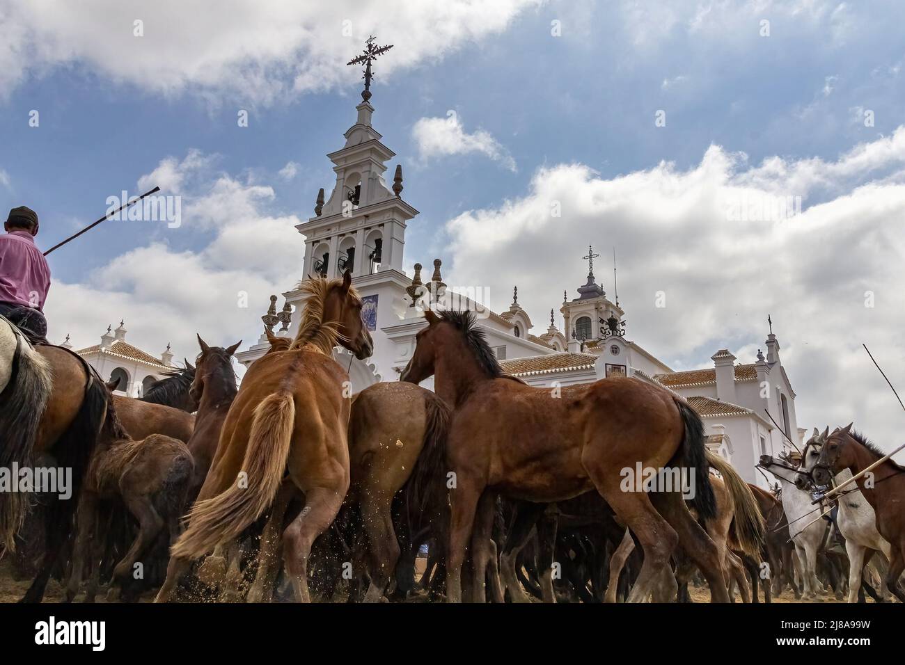 Eine Gruppe von Zuchtstuten im Aca de las Yeguas' in El Rocio Eremitage, ein kleines Dorf in Almonte, Huelva, Andalusien, Spanien Stockfoto