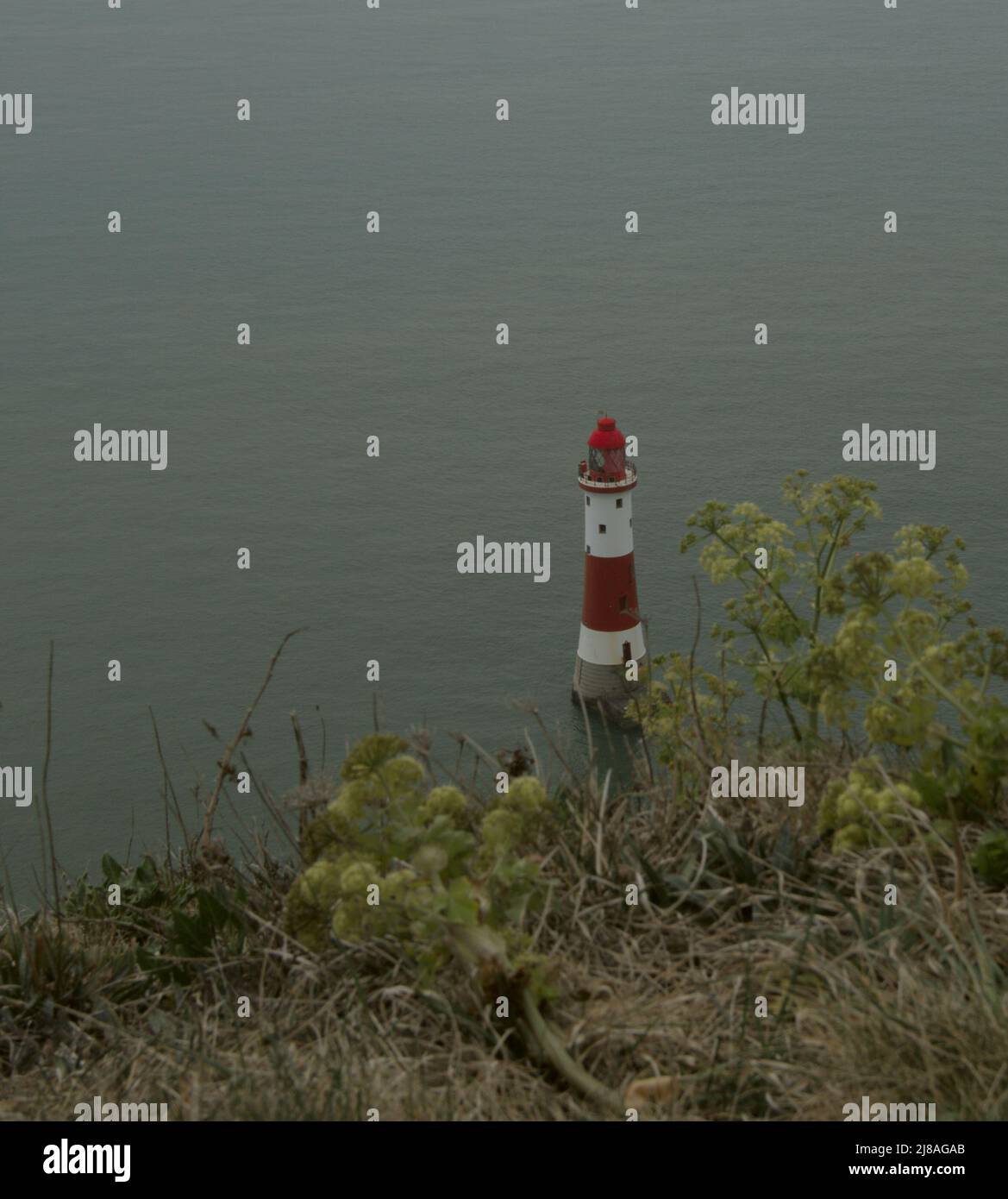 Beachy Head Cliffs mit einem Leuchtturm. Stockfoto