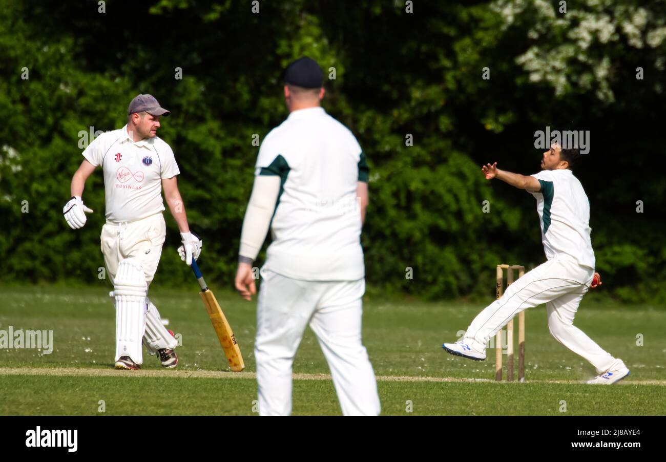 Dorf Cricket in Hampshire, England Stockfoto