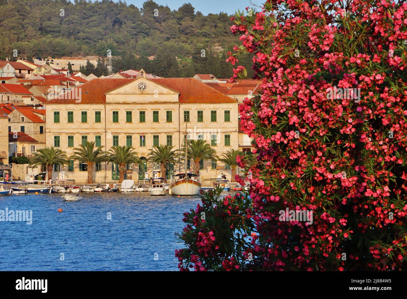 Wunderbar Vela Luka Kroatien Bilder