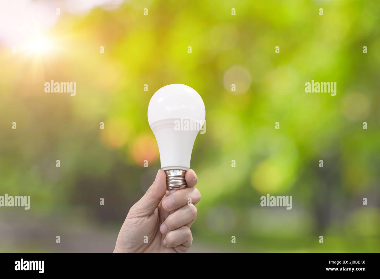 Handhaltelampe Glühlampe auf grünem Natur Hintergrund. Umweltfreundliches Konzept. Stockfoto