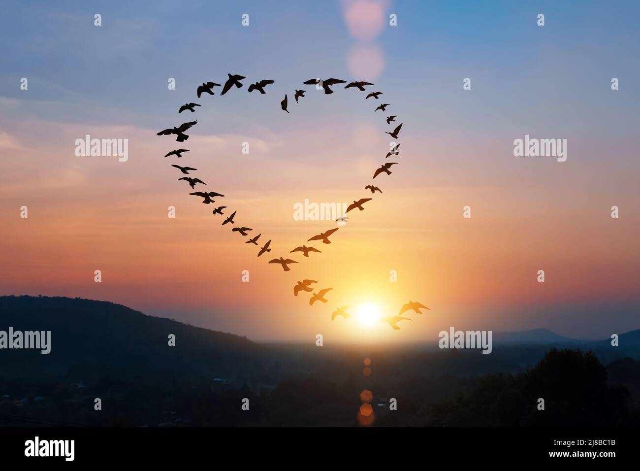 Silhouette von fliegenden Scharen Vögel in Form Herz über Sonnenuntergang Himmel. Stockfoto