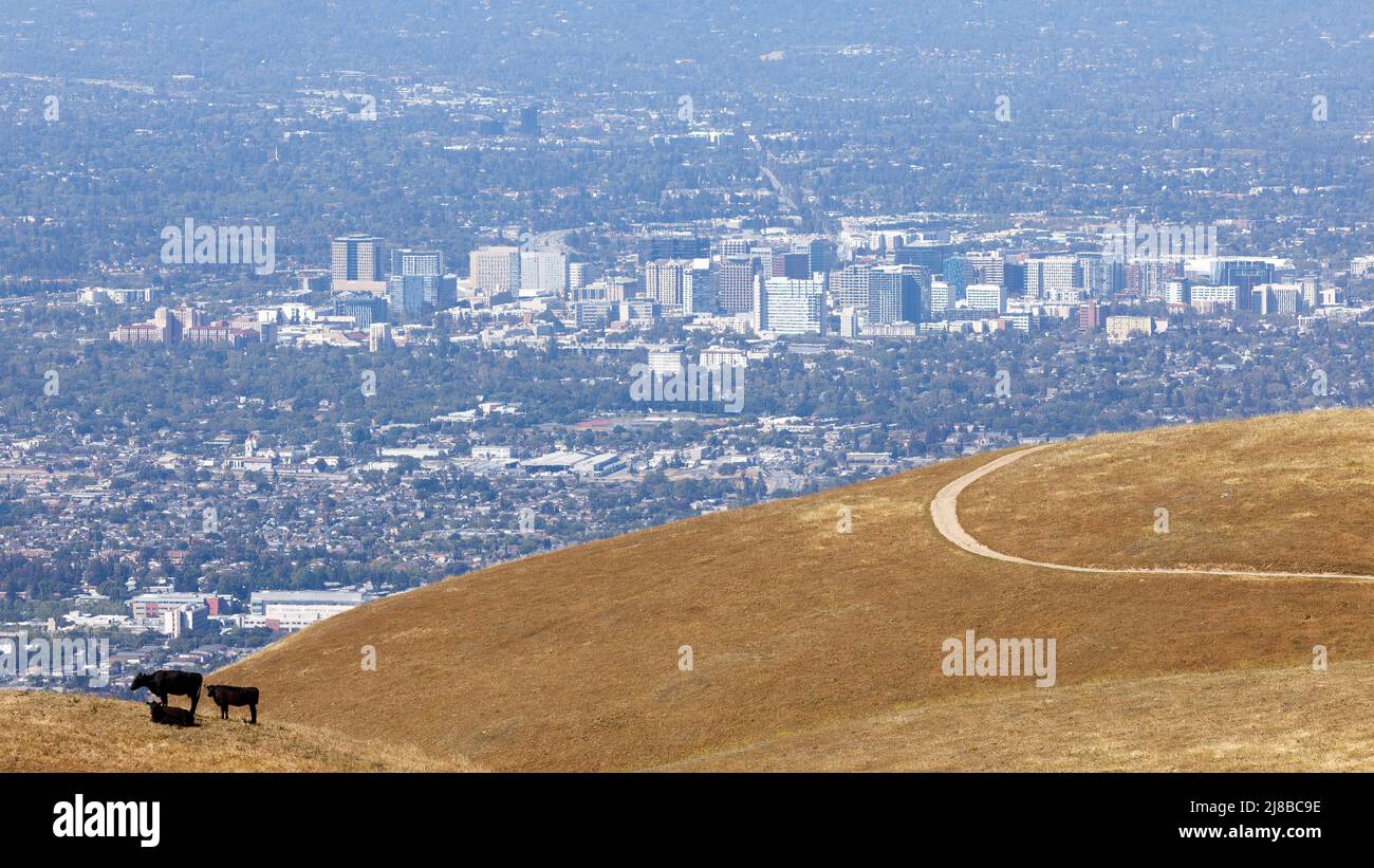 Downtown San Jose and Valley Blick über Sierra Vista Preserve in Santa Clara County, Kalifornien, USA. Stockfoto