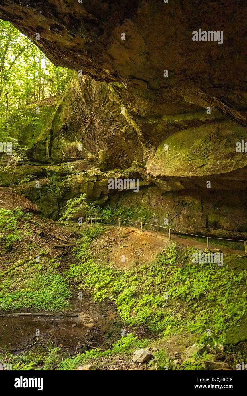 Wanderweg in die Höhle unter der größten natürlichen Brücke östlich der Rockies, im Natural Bridge Park in Winston County, Alabama. (USA) Stockfoto