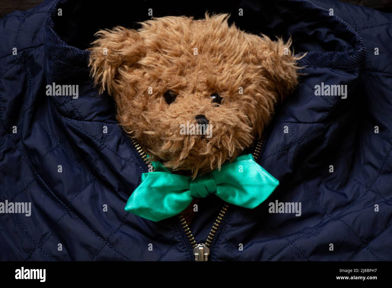 Ein brauner Teddybär in Fliege liegt in einer blauen Jacke unter dem Schloss, Schönheit und Mode Stockfoto