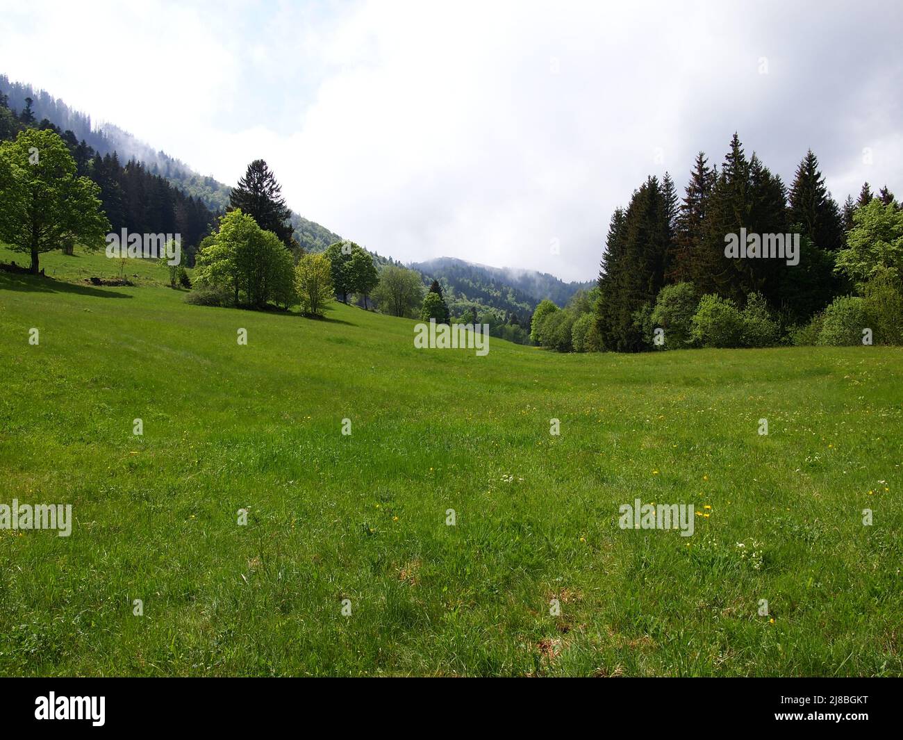 Menzenschwand-Tal - Biosphärenreservat Schwarzwald (St. Blasien, Landkreis Waldshut, Baden-Württemberg, Bundesrepublik Deutschland) Stockfoto