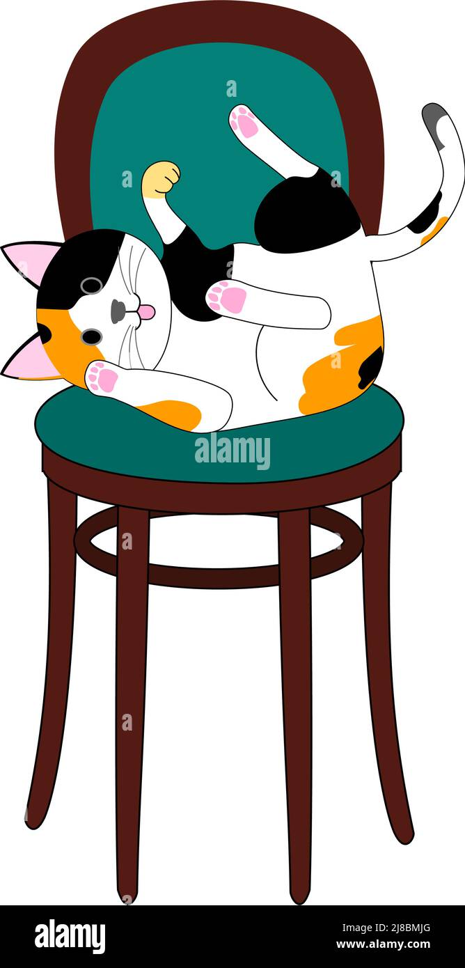 Eine Calico Katze auf einem Holzstuhl weißem Hintergrund Stockfoto