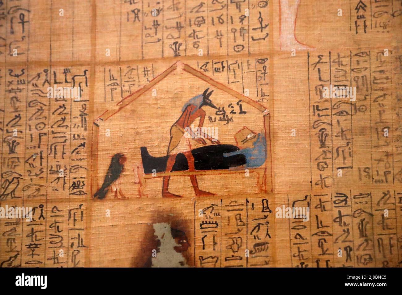 (220515) -- KAIRO, 15. Mai 2022 (Xinhua) -- das Foto vom 14. Mai 2022 zeigt ein Papyrus-Gemälde mit gott Anubis, der im Ägyptischen Museum in Kairo, Ägypten, Mumie macht. Als Begräbnisgottheit wird Anubis mit Mumifizierung, Begräbnisritualen und dem Friedhof im altägyptischen Mythos assoziiert, der normalerweise als schwarzer Hund oder als Mann mit Hundekopf dargestellt wird. Es kann in einer großen Anzahl von pharaonischen Antiquitäten im weltbekannten Ägyptischen Museum gefunden werden. (Xinhua/Sui Xiankai) Stockfoto