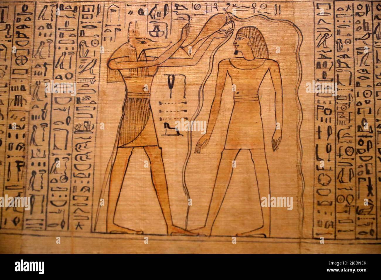 (220515) -- KAIRO, 15. Mai 2022 (Xinhua) -- das Foto vom 14. Mai 2022 zeigt ein von gott Anubis gemaltes Papyrus-Gemälde im Ägyptischen Museum in Kairo, Ägypten. Als Begräbnisgottheit wird Anubis mit Mumifizierung, Begräbnisritualen und dem Friedhof im altägyptischen Mythos assoziiert, der normalerweise als schwarzer Hund oder als Mann mit Hundekopf dargestellt wird. Es kann in einer großen Anzahl von pharaonischen Antiquitäten im weltbekannten Ägyptischen Museum gefunden werden. (Xinhua/Sui Xiankai) Stockfoto