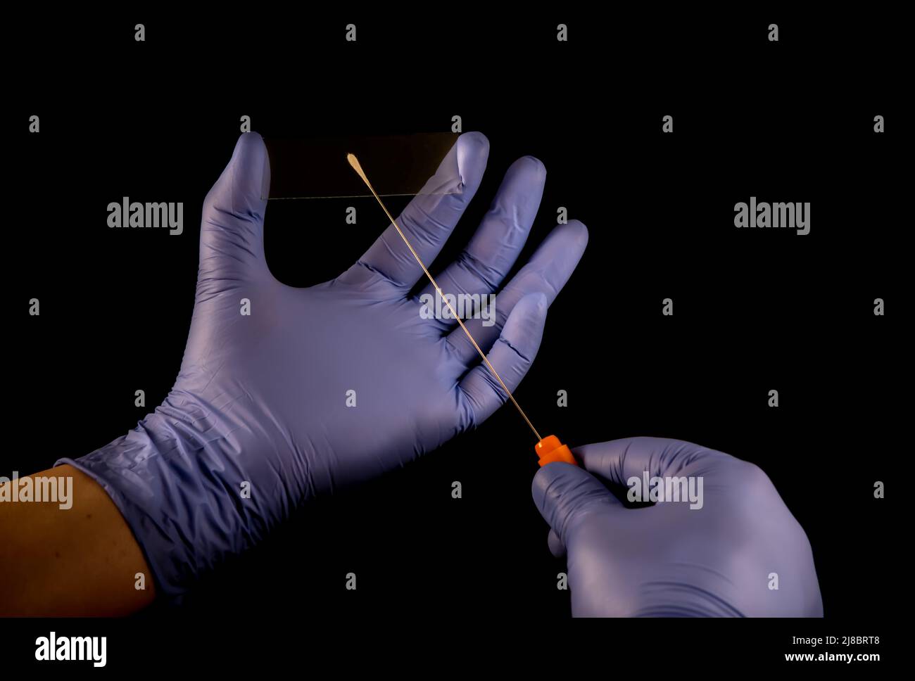 Medizinischer steriler Tupfer, Objektträger aus Glasmikroskop isoliert auf schwarzem Hintergrund Stockfoto