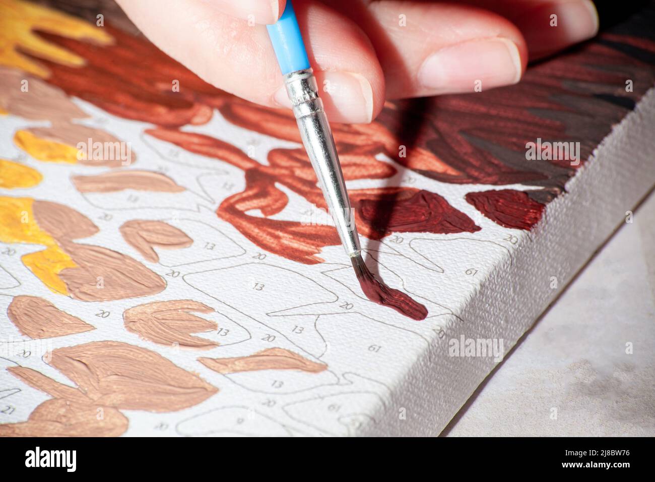 Malen nach Zahlen aus der Nähe. Weibliche Hand mit Pinselzeichnung. Aktive Freizeit zu Hause, kreatives Hobby-Konzept. Nummerierte Farben. Malen nach Zahlen proces Stockfoto