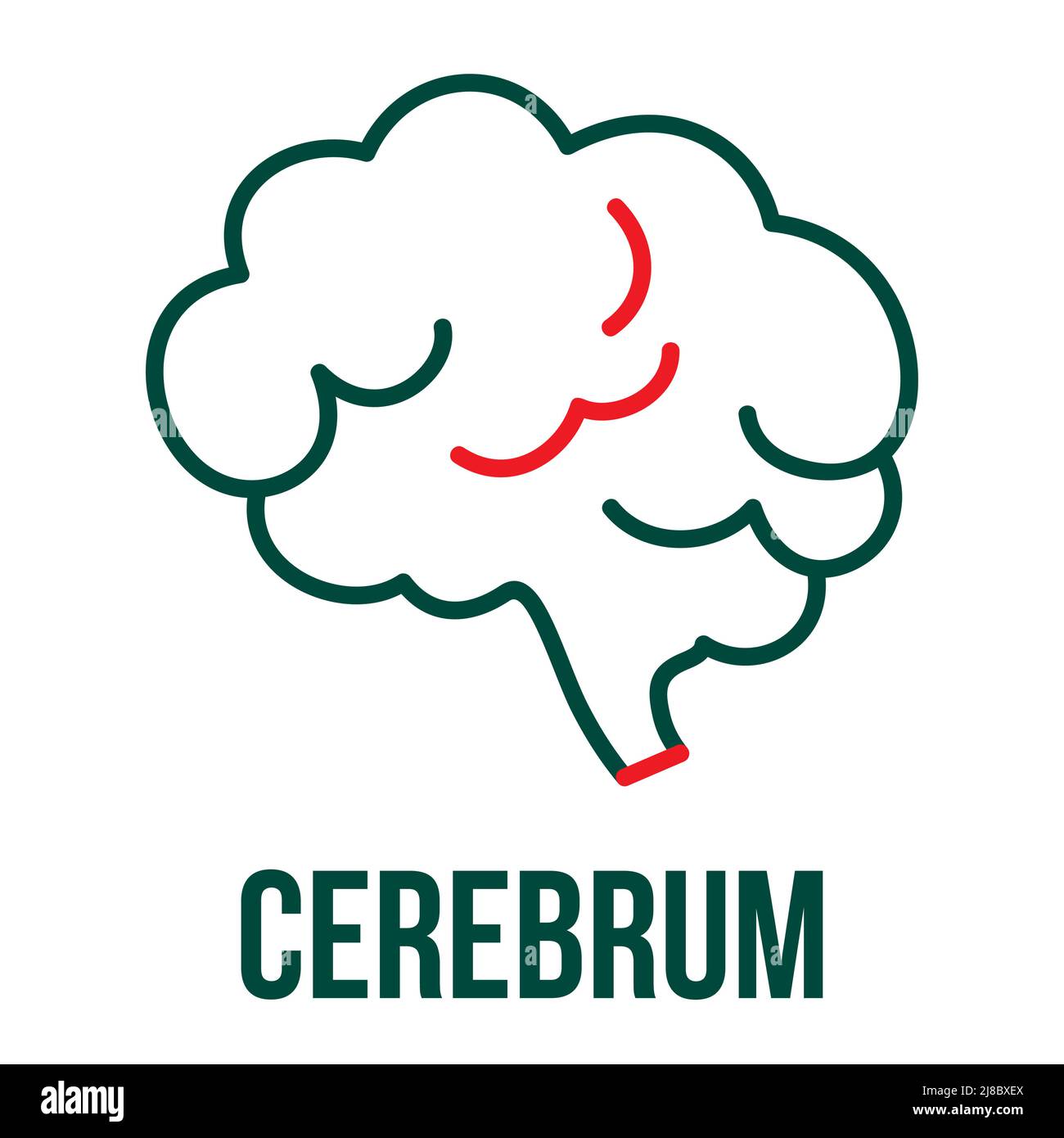 Symbol für das Zerebrum. Symbol für das menschliche Gehirn. Geist, Psychologie und medizinische Neurologie Zeichen Stock Vektor