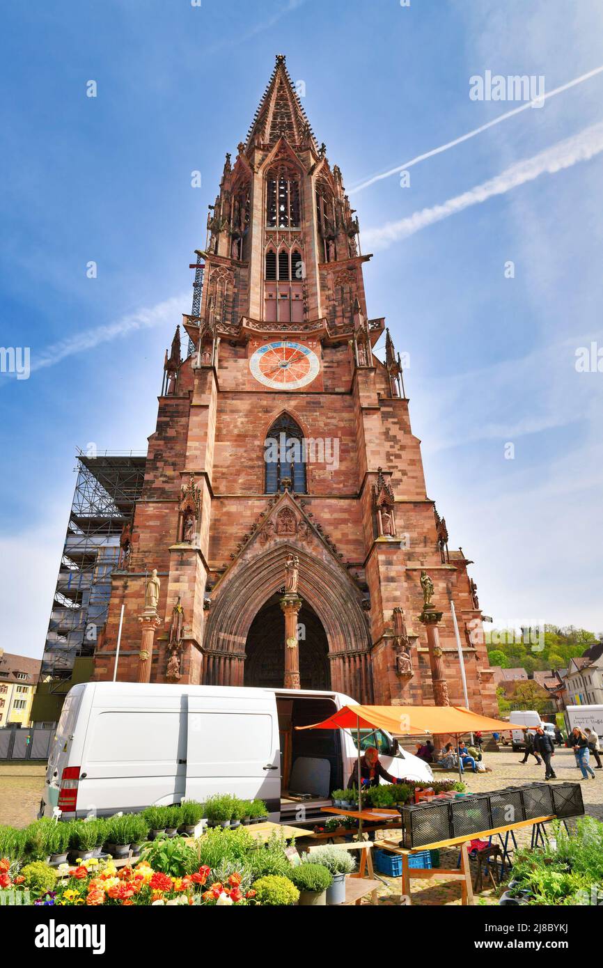 Freiburg, Deutschland - April 2022: Freiburger Münster mit Tagesmarkt im Stadtzentrum Stockfoto