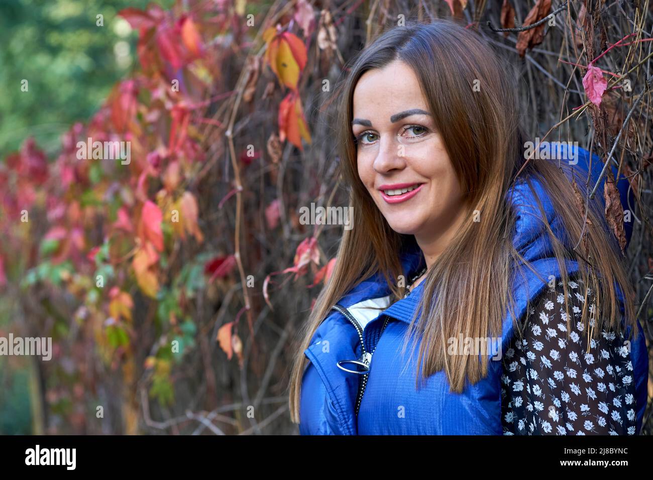 Nettes lächelndes Mädchen in einer blauen Weste und rot-orangen Büschen Stockfoto