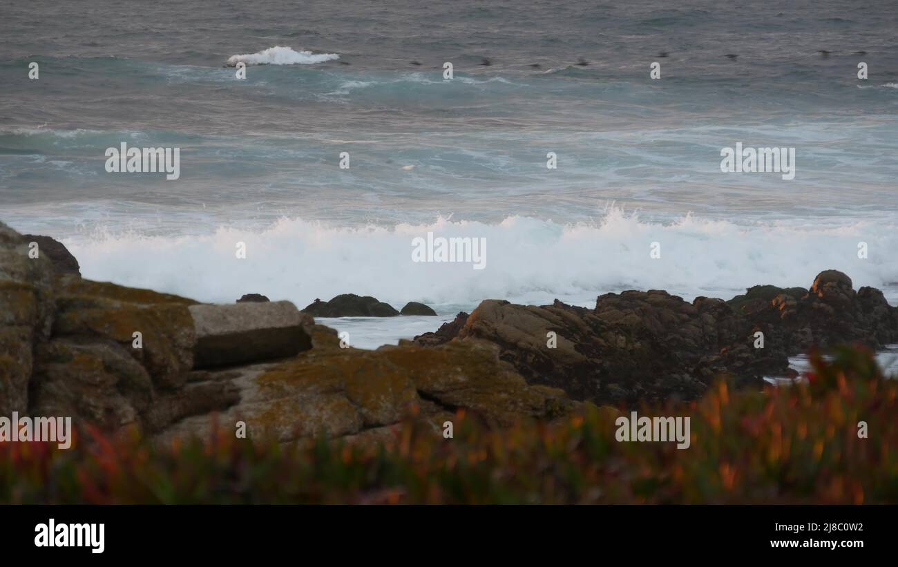 Felsige, zerklüftete pazifikküste, Meereswellen, die auf Felsen krachen, 17 Meilen Fahrt, Monterey California USA. Düstere dramatische Natur in der Nähe von Point Lobos, Big Sur, Kieselstrand. Vögel fliegen, regnerisches Wetter Stockfoto