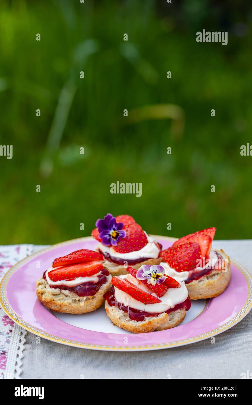 Frisch gebackene Scones mit Tee werden im Garten serviert Stockfoto