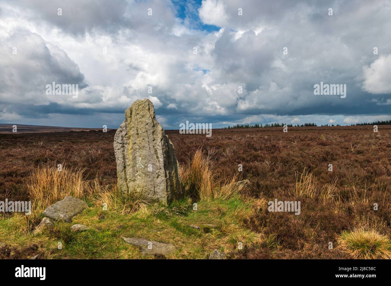 Blue man-i'-th'-Moss ein stehender Stein auf dem Lake Wake Walk über Wheeldale Moor, North Yorkshire Stockfoto