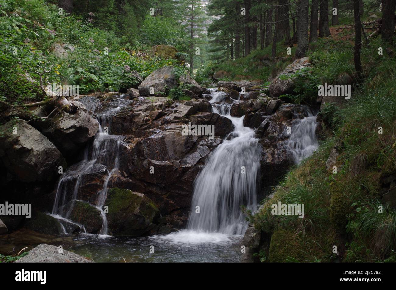 Skakavitsa Fluss, Rila Berg, Bulgarien Stockfoto