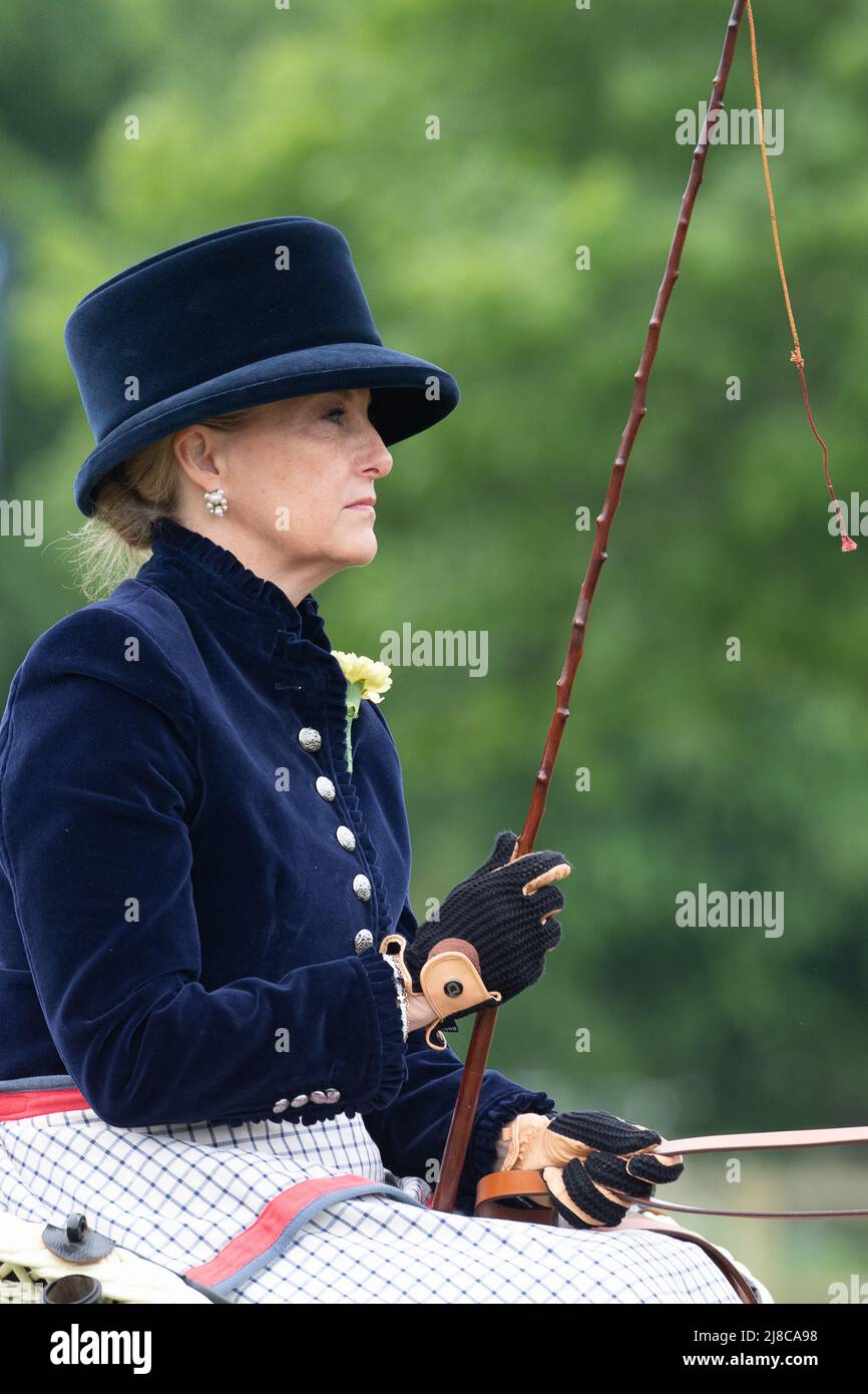 Windsor, Großbritannien. 15.. Mai 2022. Sophie, Gräfin von Wessex, fuhr heute auf dem privaten Gelände von Windsor Castle eine Kutsche im Champagne Laurent-Perrier-Treffen der British Driving Society, Return from Drive. Ihre Tochter Lady Louise Windsor fuhr ebenfalls eine weitere Kutsche, die ihrem verstorbenen Großvater, dem Herzog von Edinburgh, gehörte. Quelle: Maureen McLean/Alamy Live News Stockfoto