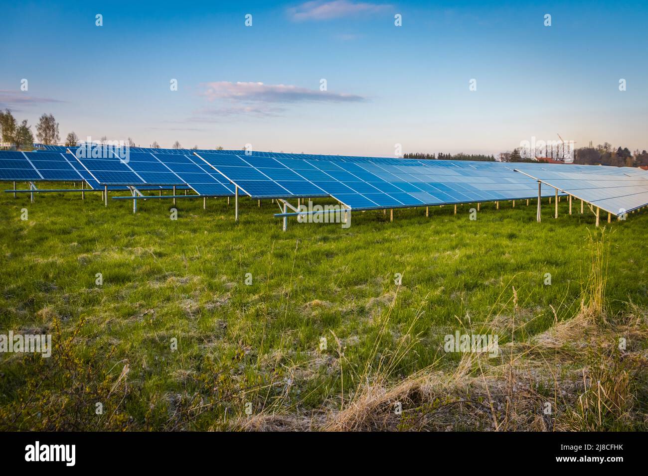 Solarzellen in einer Reihe Stockfoto