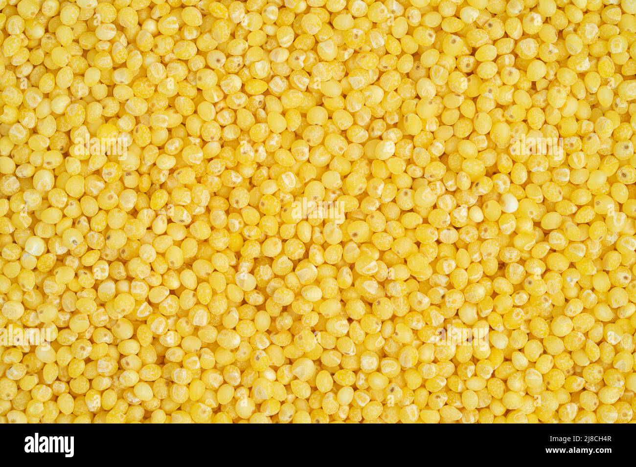 Trockengehirse. Essenshintergrund, Draufsicht. Stockfoto