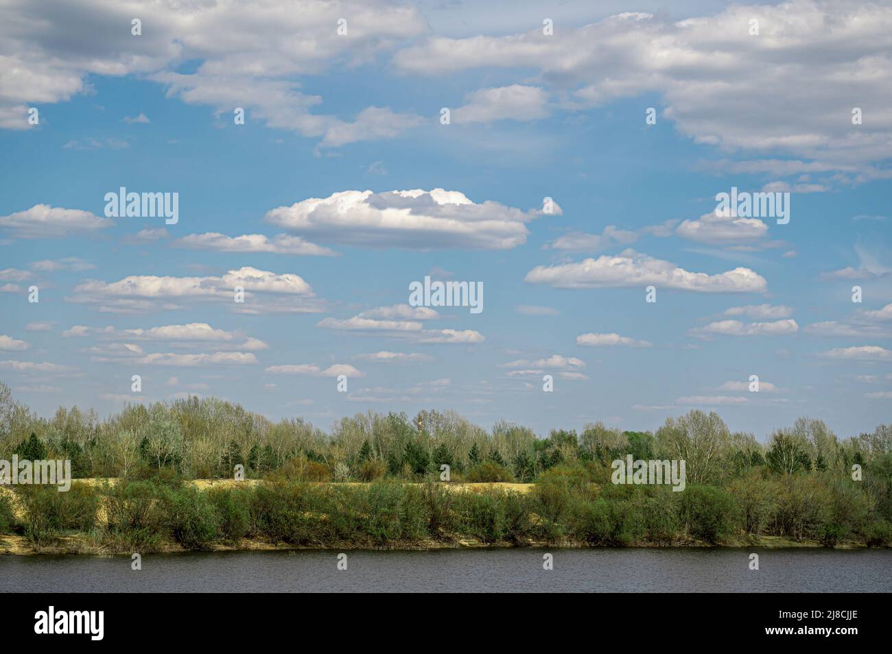 Landschaft blauer Himmel mit weißen, flauschigen Wolken, grünen Büschen und einem Fluss oder See im Vordergrund. Schöner blauer Himmel und große weiße, flauschige Wolken Stockfoto
